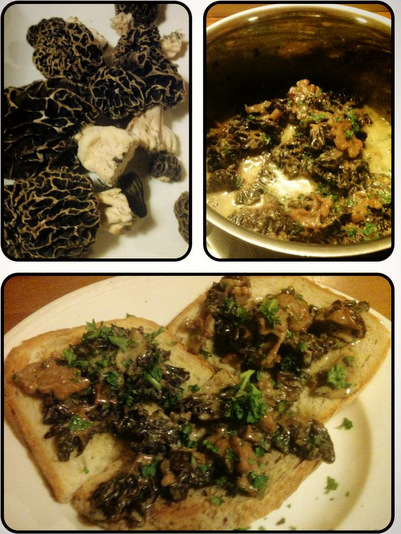 Toast aux morilles