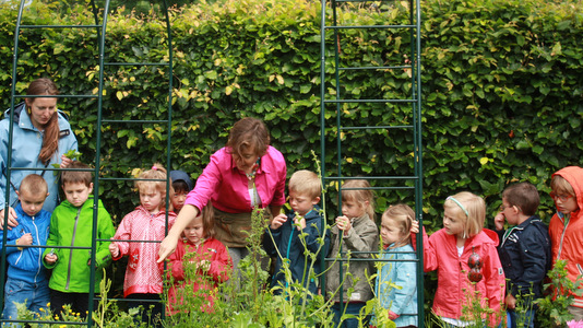 L'école visite le potager